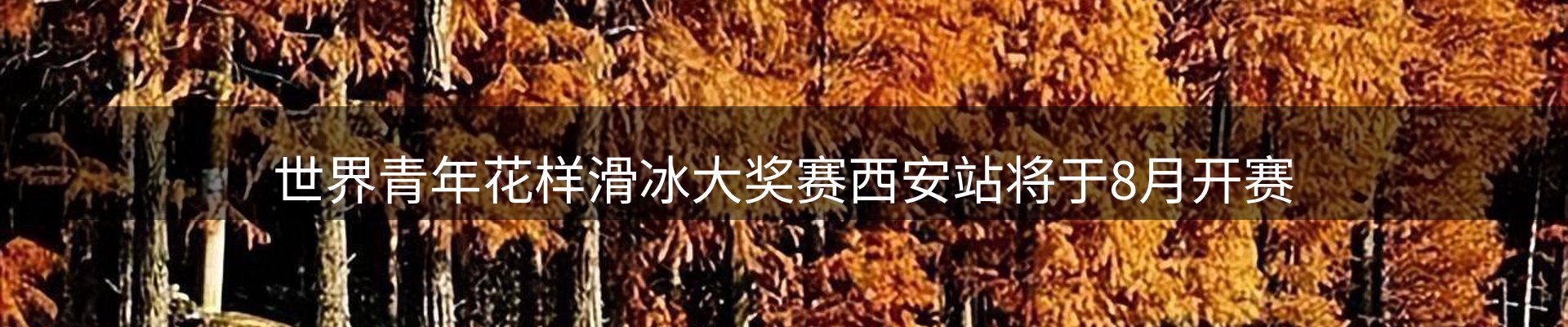 新闻资讯